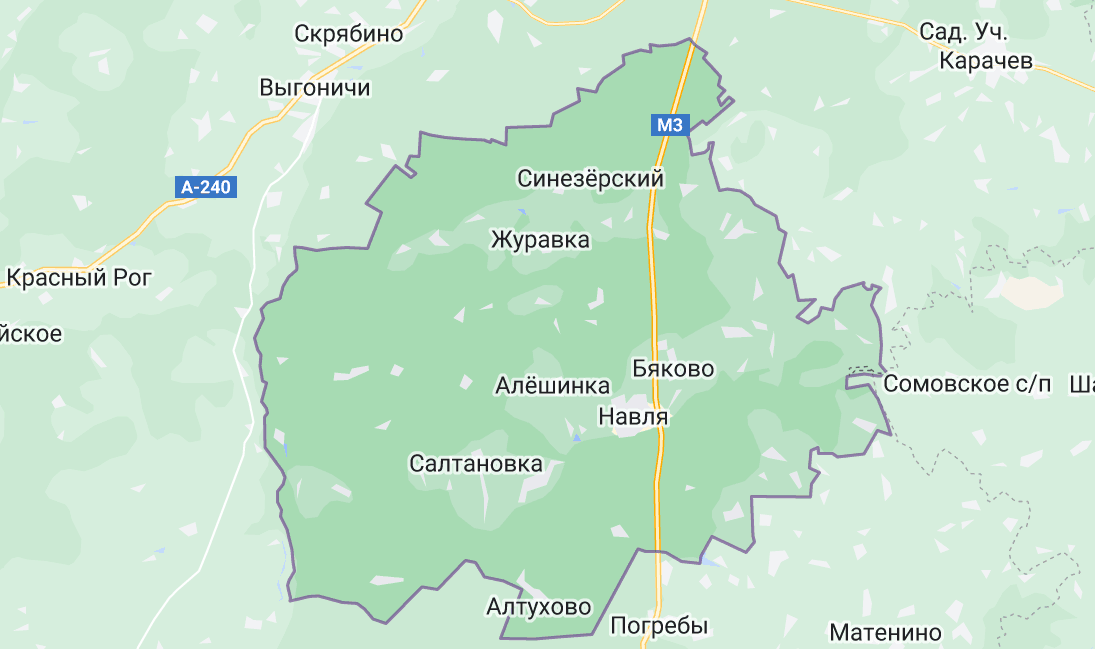 Навлинский район.
